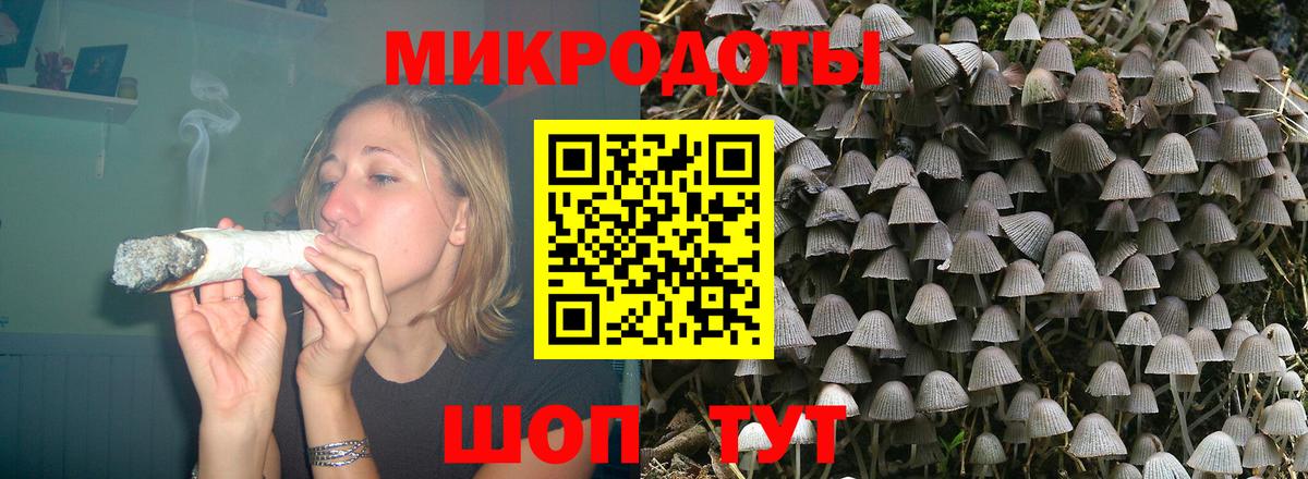 Псилоцибиновые грибы GOLDEN TEACHER  Псилоцибиновые грибы Psilocybine cubensis  Вход с VPN  Калининград 